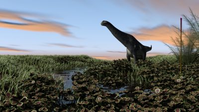 Titanosaurussen
