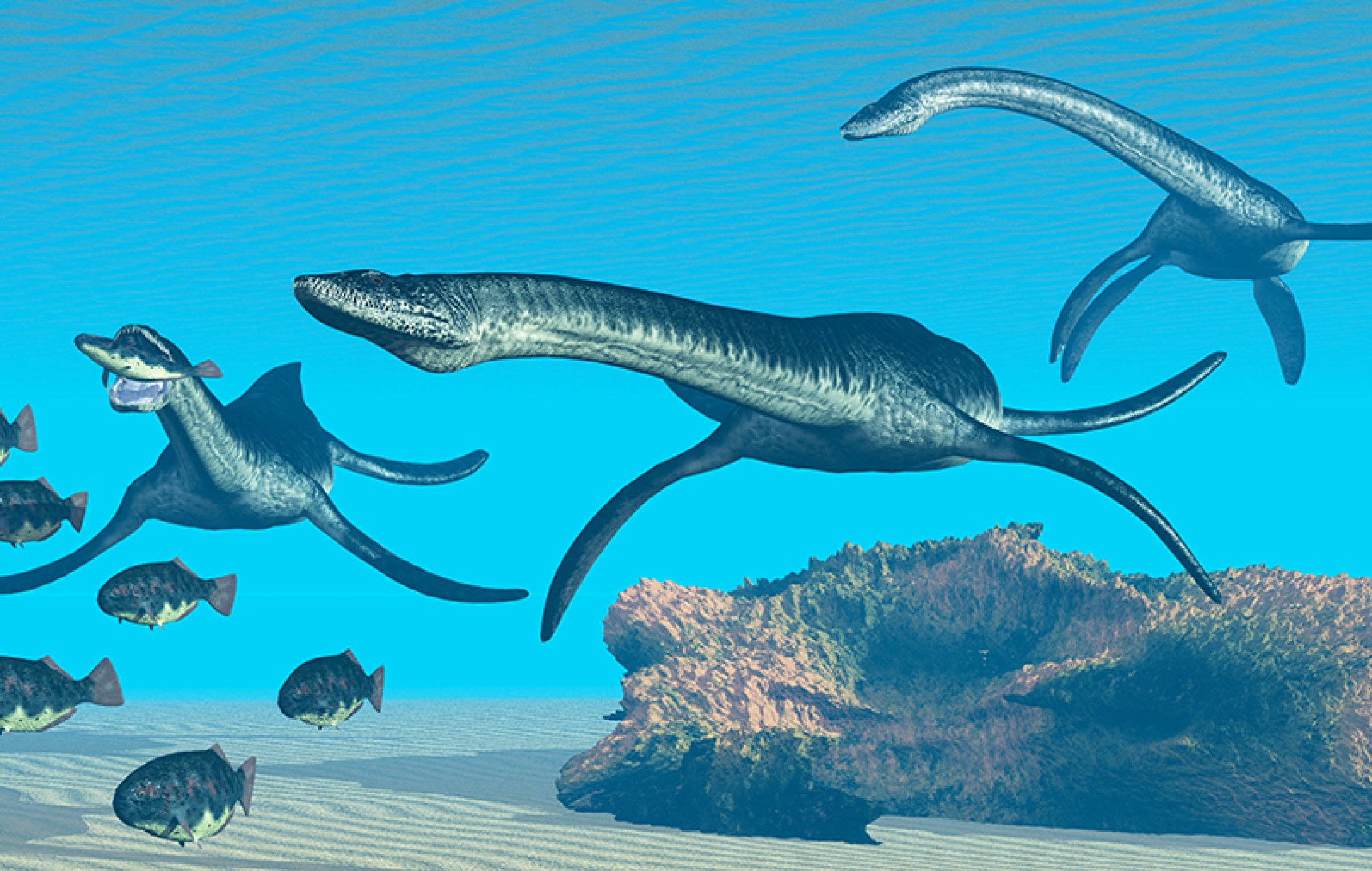 Plesiosaurus – Informatie Begin